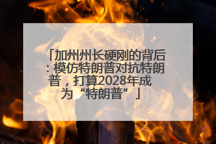 加州州长硬刚的背后：模仿特朗普对抗特朗普，打算2028年成为“特朗普”