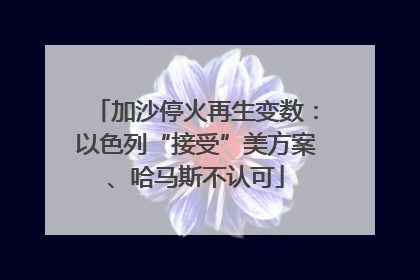加沙停火再生变数：以色列“接受”美方案、哈马斯不认可