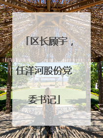 区长顾宇，任洋河股份党委书记