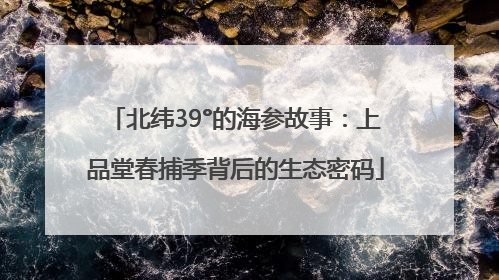 北纬39°的海参故事：上品堂春捕季背后的生态密码