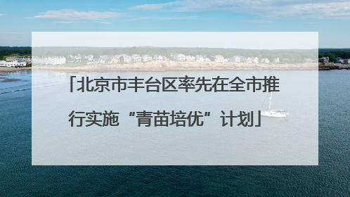 北京市丰台区率先在全市推行实施“青苗培优”计划