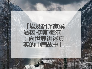埃及翻译家侯赛因·伊斯梅尔：向世界讲述真实的中国故事