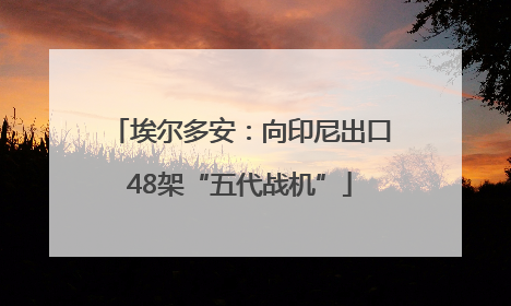 埃尔多安：向印尼出口48架“五代战机”