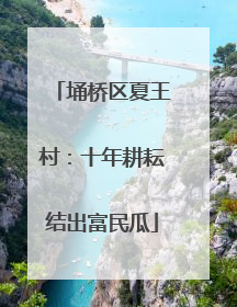 埇桥区夏王村：十年耕耘结出富民瓜
