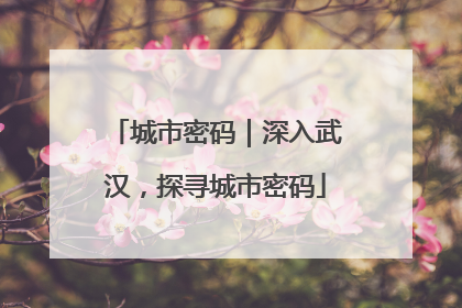 城市密码｜深入武汉，探寻城市密码