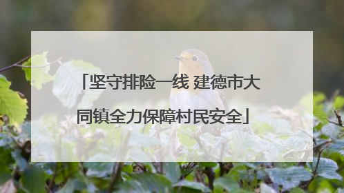 坚守排险一线 建德市大同镇全力保障村民安全