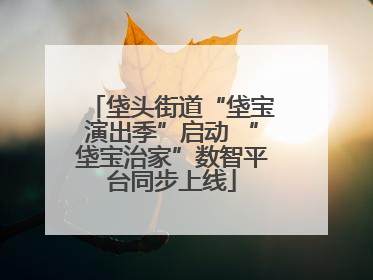 垡头街道“垡宝演出季”启动 “垡宝治家”数智平台同步上线