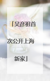 吴彦祖首次公开上海新家