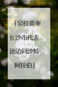 吴桂英率长沙市代表团访问沙特阿拉伯