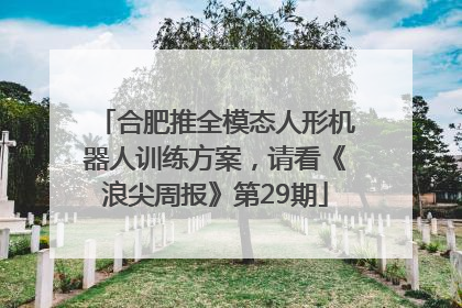 合肥推全模态人形机器人训练方案，请看《浪尖周报》第29期
