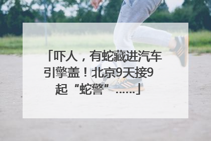吓人，有蛇藏进汽车引擎盖！北京9天接9起“蛇警”……