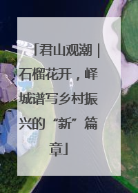 君山观潮｜石榴花开，峄城谱写乡村振兴的“新”篇章
