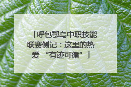呼包鄂乌中职技能联赛侧记：这里的热爱 “有迹可循”