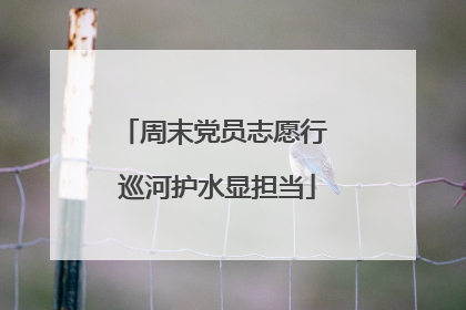 周末党员志愿行 巡河护水显担当