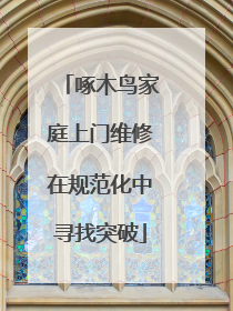啄木鸟家庭上门维修在规范化中寻找突破
