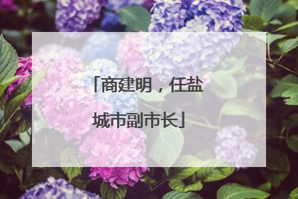 商建明，任盐城市副市长