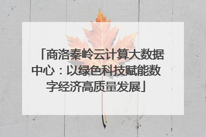 商洛秦岭云计算大数据中心：以绿色科技赋能数字经济高质量发展