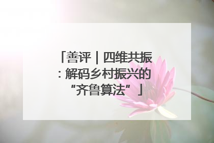 善评｜四维共振：解码乡村振兴的“齐鲁算法”