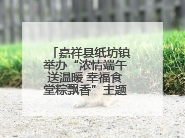 嘉祥县纸坊镇举办“浓情端午送温暖 幸福食堂粽飘香”主题文明实践活动
