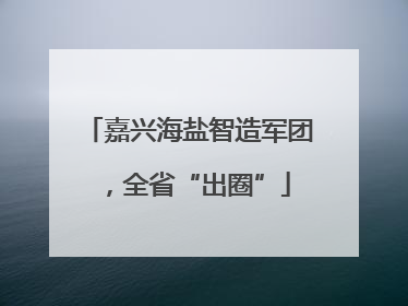 嘉兴海盐智造军团，全省“出圈”