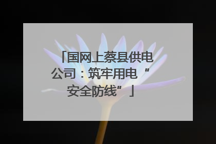 国网上蔡县供电公司：筑牢用电“安全防线”