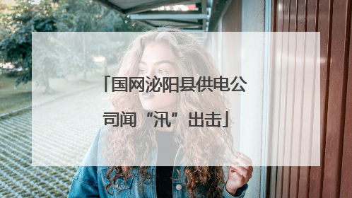 国网泌阳县供电公司闻“汛”出击