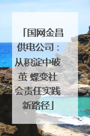 国网金昌供电公司：从积淀中破茧 蝶变社会责任实践新路径