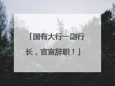 国有大行一副行长，官宣辞职！