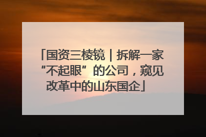 国资三棱镜｜拆解一家“不起眼”的公司，窥见改革中的山东国企