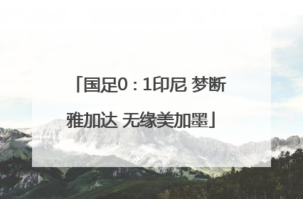 国足0∶1印尼 梦断雅加达 无缘美加墨