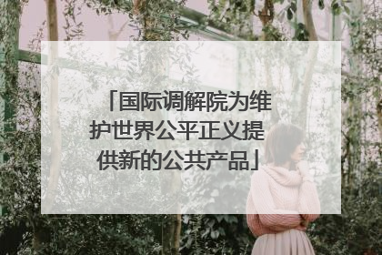 国际调解院为维护世界公平正义提供新的公共产品