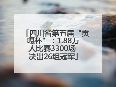 四川省第五届“贡嘎杯”：1.88万人比赛3300场 决出26组冠军