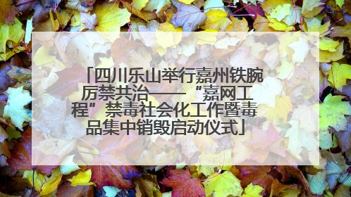 四川乐山举行嘉州铁腕 厉禁共治——“嘉网工程”禁毒社会化工作暨毒品集中销毁启动仪式