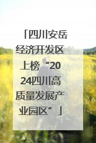 四川安岳经济开发区上榜“2024四川高质量发展产业园区”