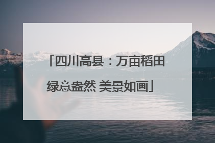 四川高县：万亩稻田绿意盎然 美景如画