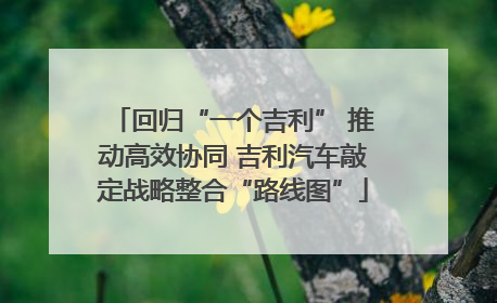 回归“一个吉利” 推动高效协同 吉利汽车敲定战略整合“路线图”