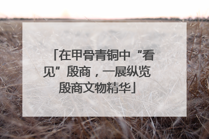 在甲骨青铜中“看见”殷商，一展纵览殷商文物精华