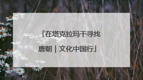 在塔克拉玛干寻找唐朝｜文化中国行