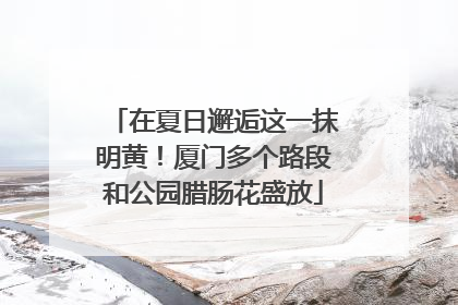 在夏日邂逅这一抹明黄！厦门多个路段和公园腊肠花盛放