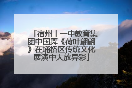 宿州十一中教育集团中国舞《荷叶翩翩》在埇桥区传统文化展演中大放异彩