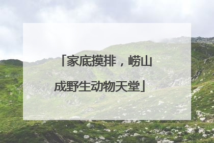 家底摸排，崂山成野生动物天堂