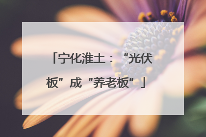 宁化淮土：“光伏板”成“养老板”