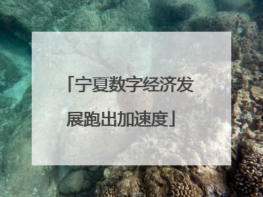 宁夏数字经济发展跑出加速度