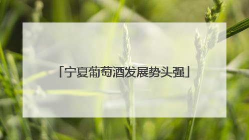 宁夏葡萄酒发展势头强