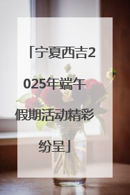 宁夏西吉2025年端午假期活动精彩纷呈