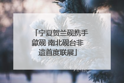 宁夏贺兰砚携手歙砚 南北砚台非遗首度联展