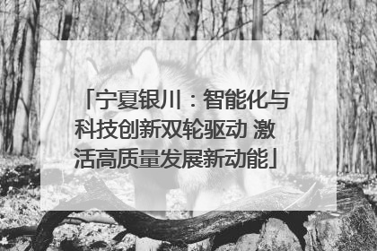 宁夏银川：智能化与科技创新双轮驱动 激活高质量发展新动能