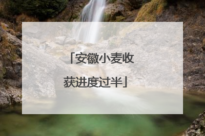 安徽小麦收获进度过半