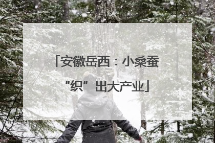 安徽岳西：小桑蚕“织”出大产业