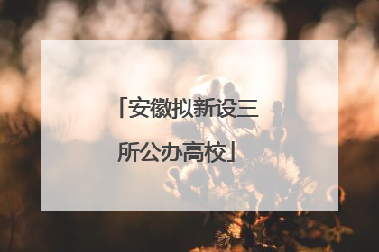 安徽拟新设三所公办高校